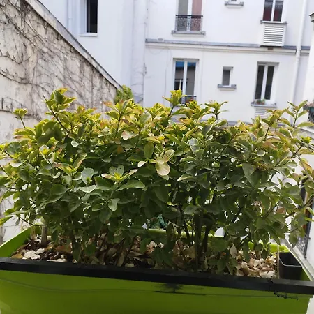Petit Cocon Parisien ! Paris Centre - Gare Du Nord Apartment Room photo